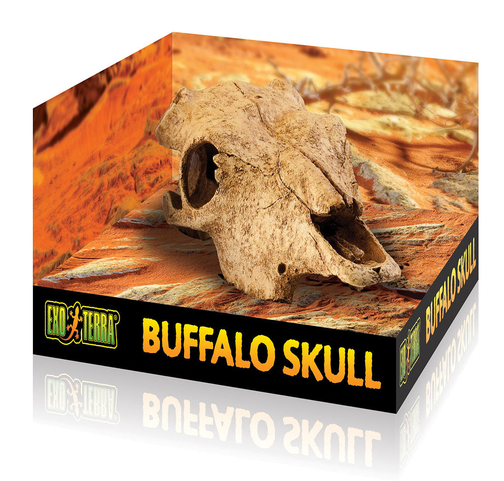 Exo Terra Buffalo Skull - Bermondsey Exotics