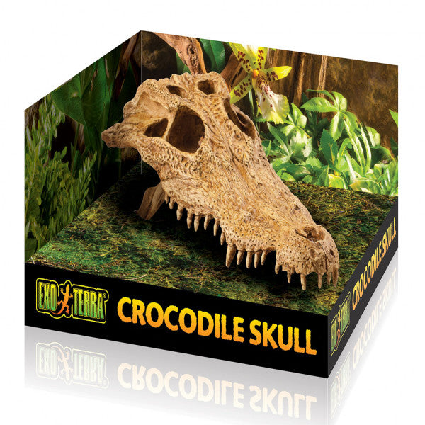 Exo Terra Crocodile Skull - Bermondsey Exotics