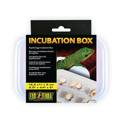 Exo Terra Incubator - Bermondsey Exotics