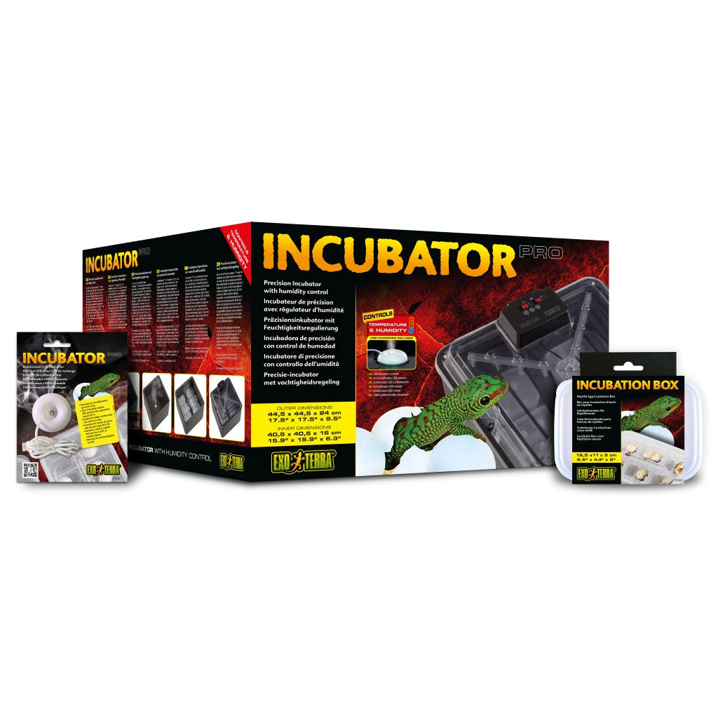 Exo Terra Incubator - Bermondsey Exotics