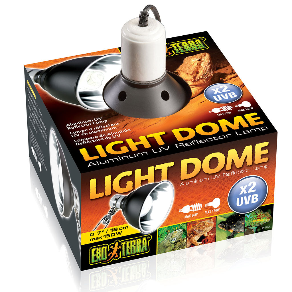 Exo Terra Light Dome - Bermondsey Exotics