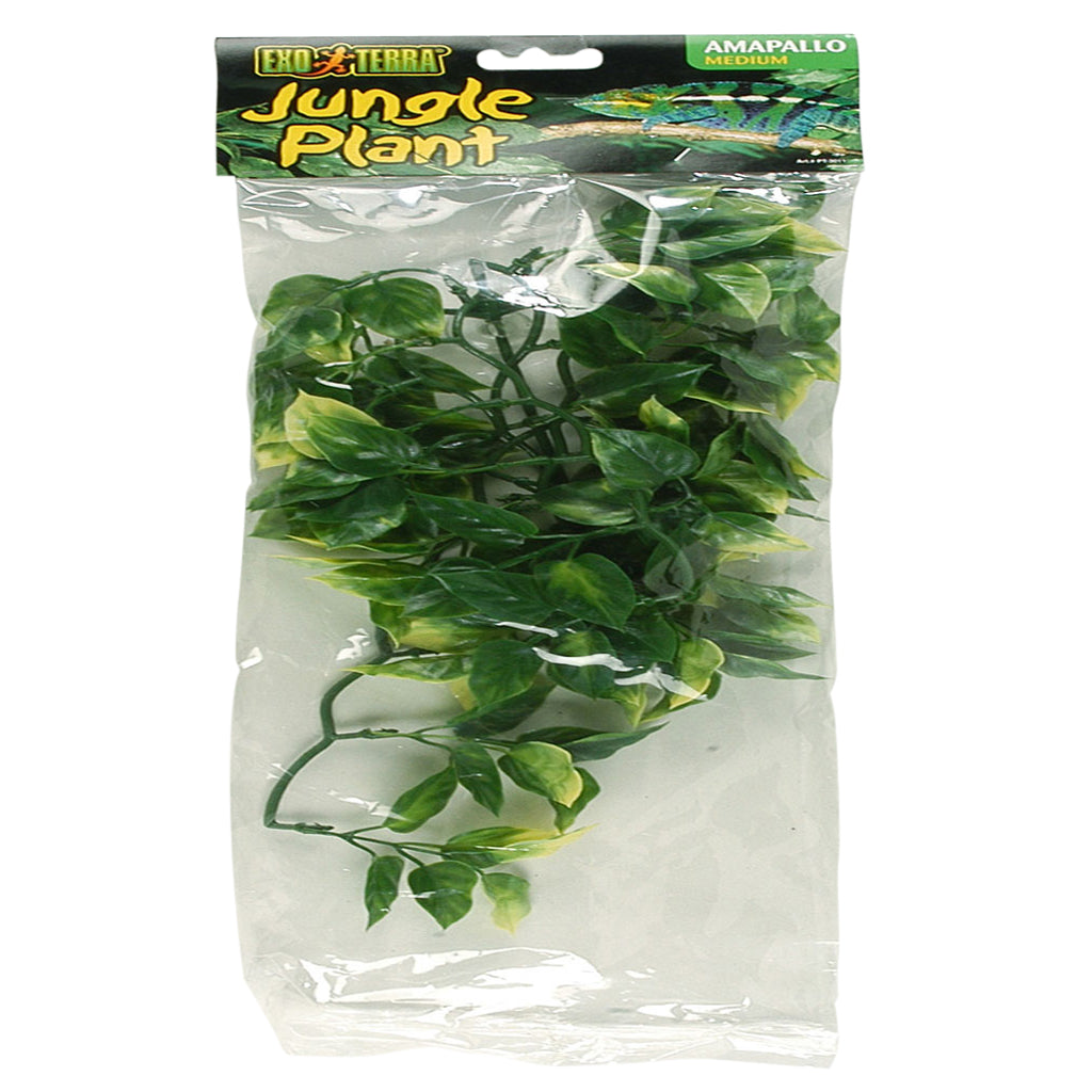 Exo Terra Amapallo Plastic Plant - Bermondsey Exotics