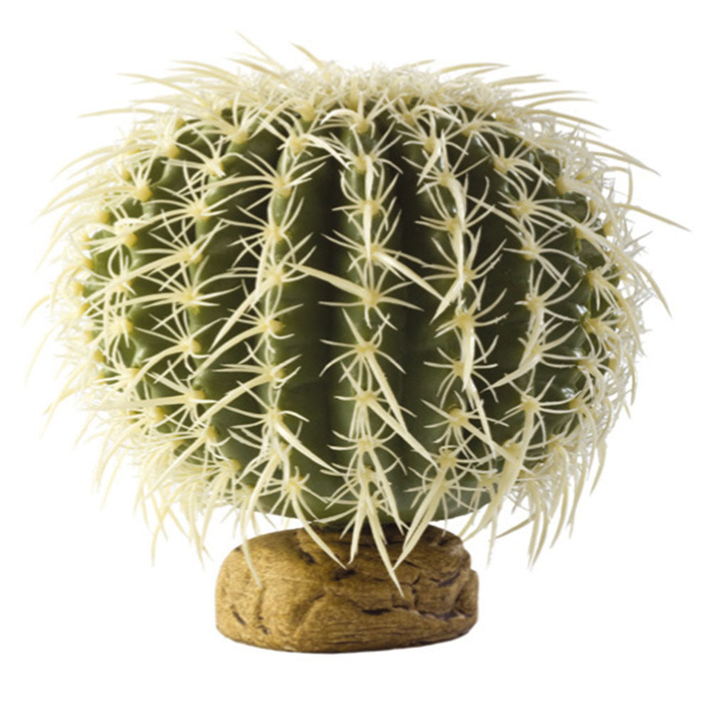 Exo Terra Barrel Cactus - Bermondsey Exotics