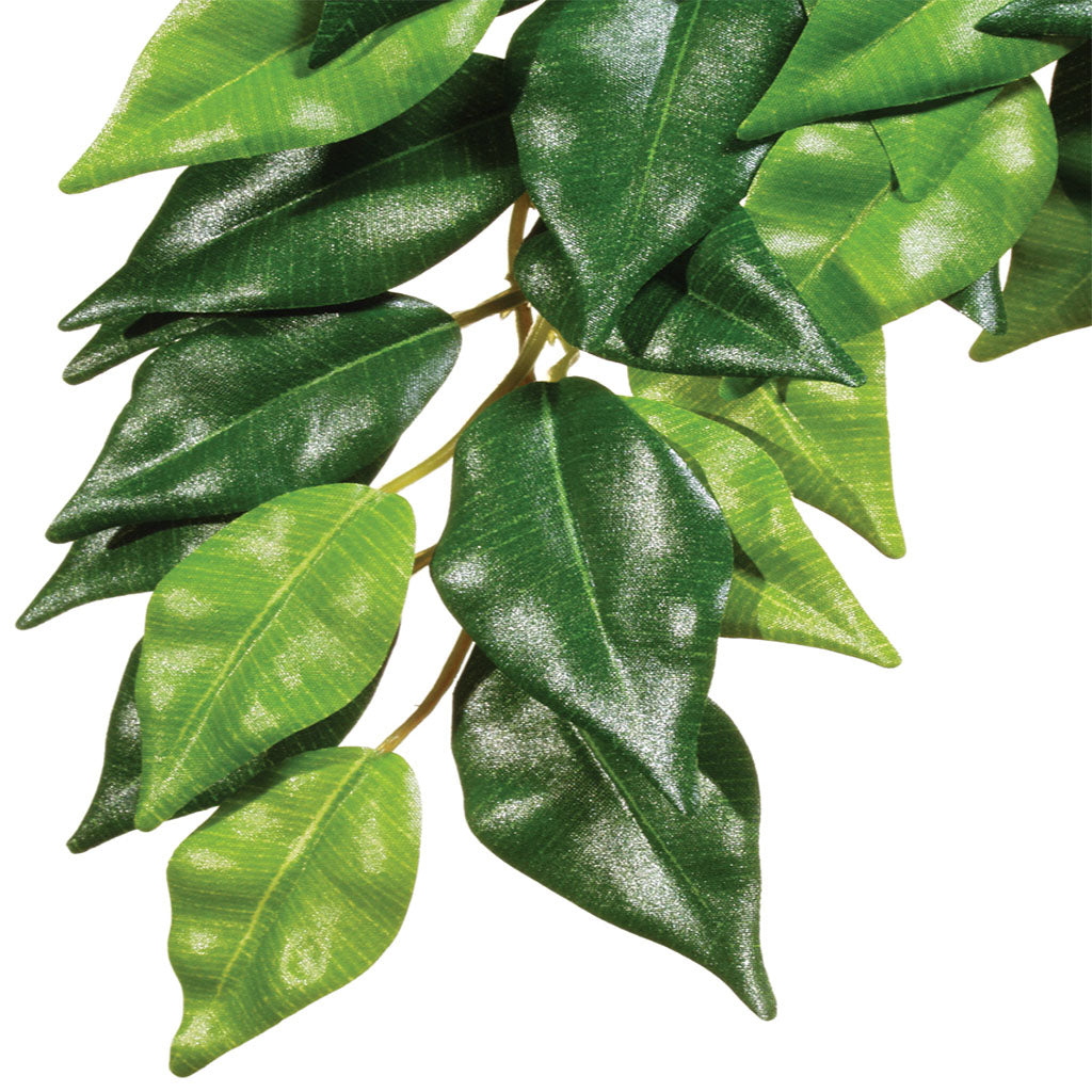 Exo Terra Ficus Silk Plant - Bermondsey Exotics