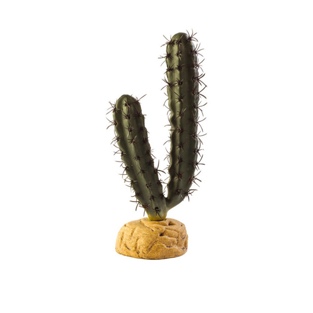 Exo Terra Finger Cactus - Bermondsey Exotics