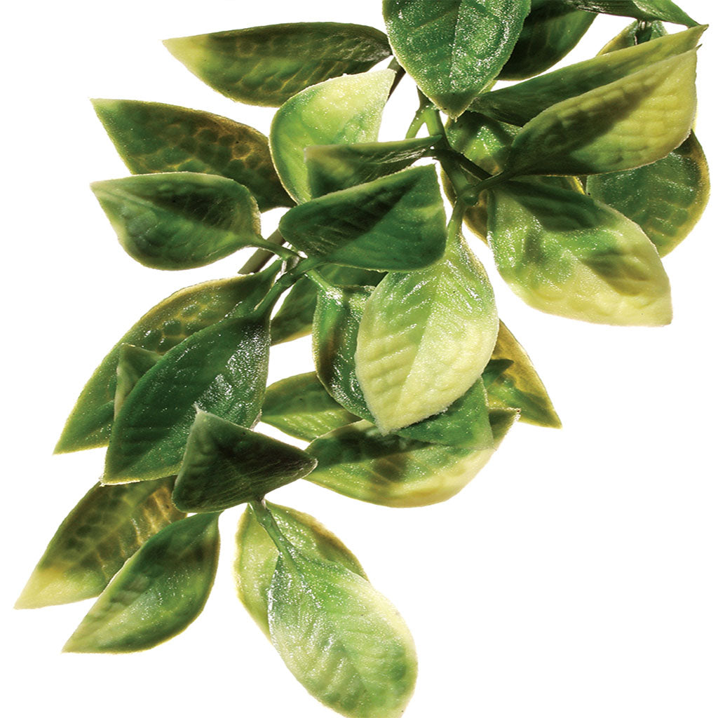 Exo Terra Mandarin Plastic Plant - Bermondsey Exotics