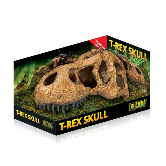 Exo Terra T-Rex Skull Hiding Cave - Bermondsey Exotics