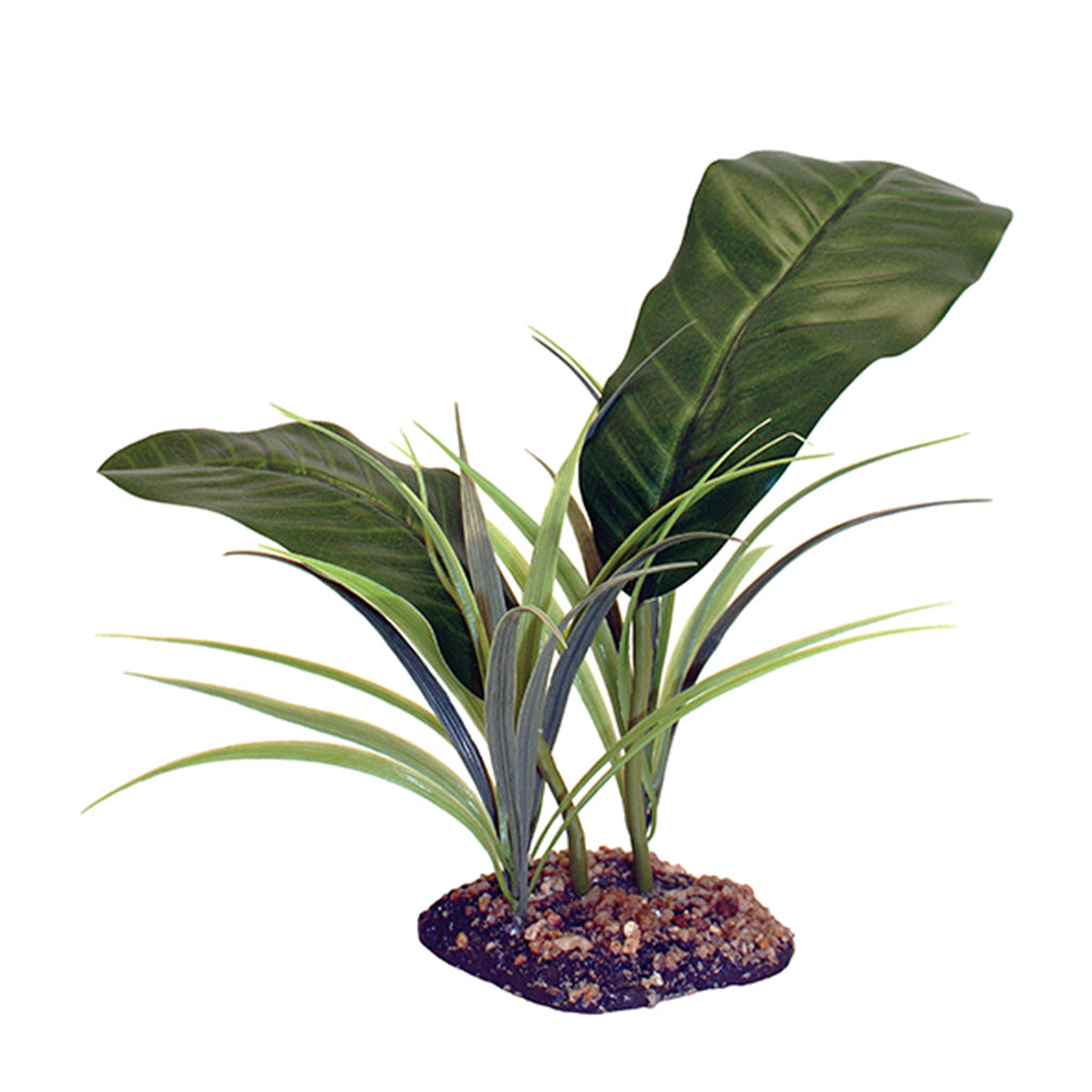 Komodo Evergreen Canopy 35cm (14") - Bermondsey Exotics