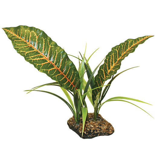 Komodo Tropical Canopy 31cm (12") - Bermondsey Exotics