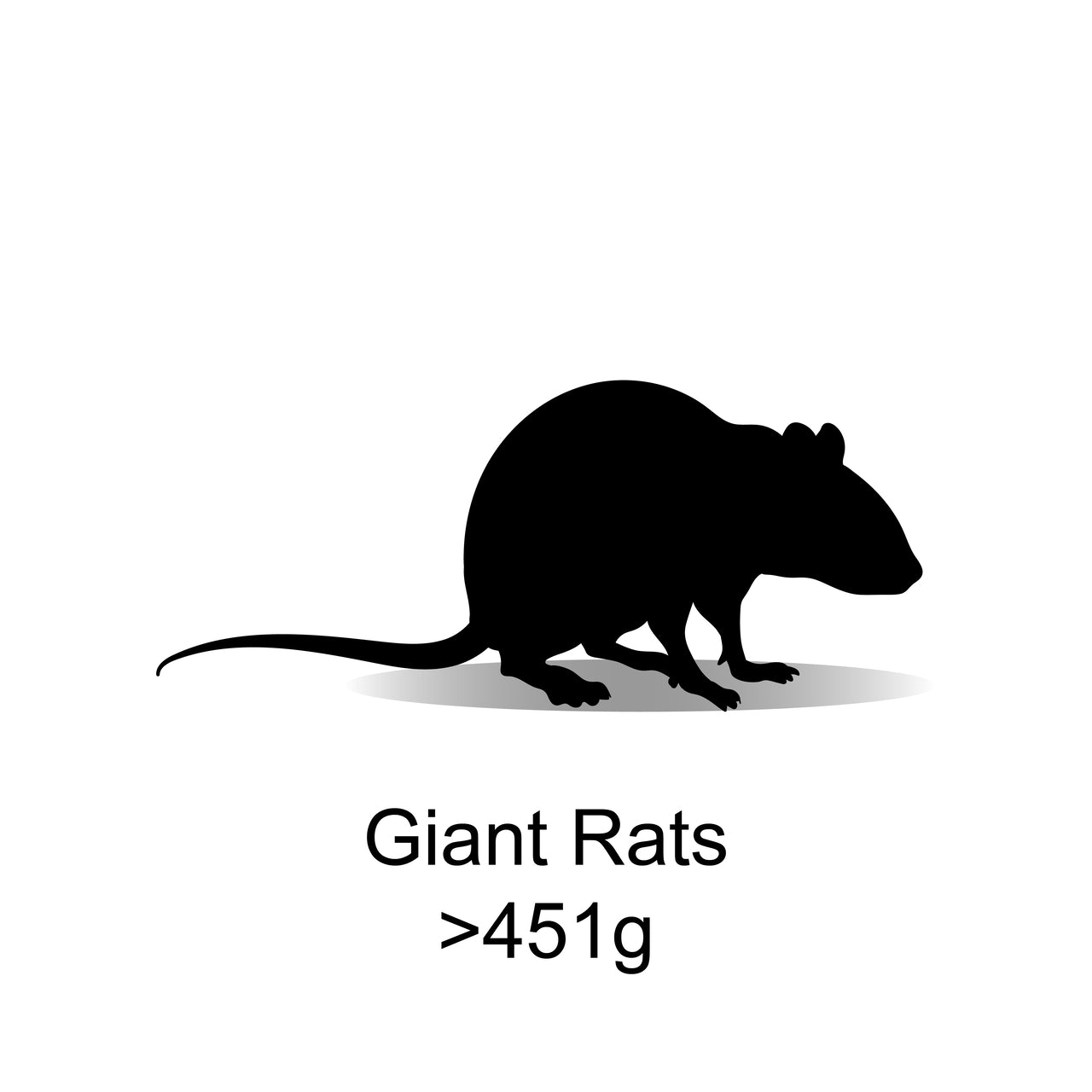 Frozen Giant Rats 451g+ 3 Pack - Bermondsey Exotics