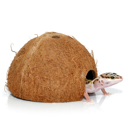 HabiStat Coconut Cave - Bermondsey Exotics