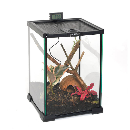 HabiStat Glass Terrarium - Bermondsey Exotics