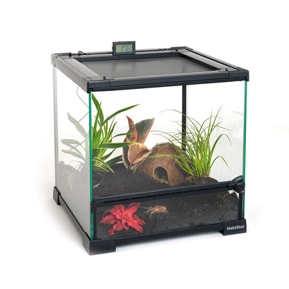 HabiStat Glass Terrarium - Bermondsey Exotics