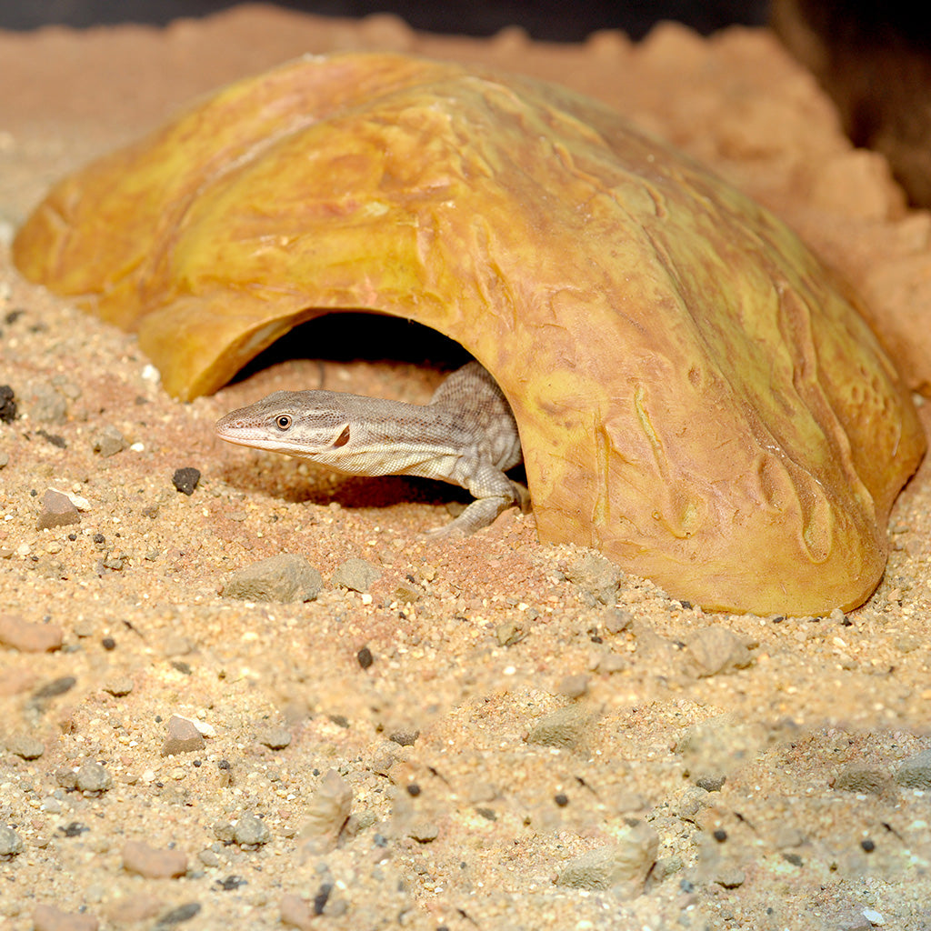 HabiStat Sandstone Reptile Cave - Bermondsey Exotics