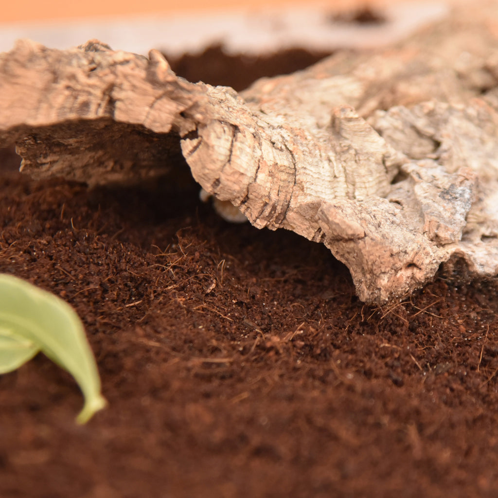 HabiStat Coir Substrate Loose - Bermondsey Exotics