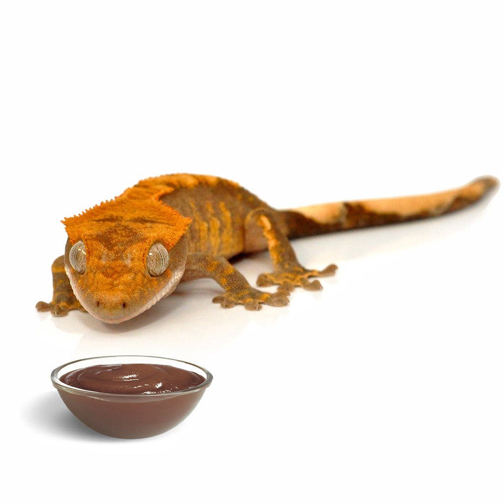 HabiStat Crested Gecko Diet - Bermondsey Exotics