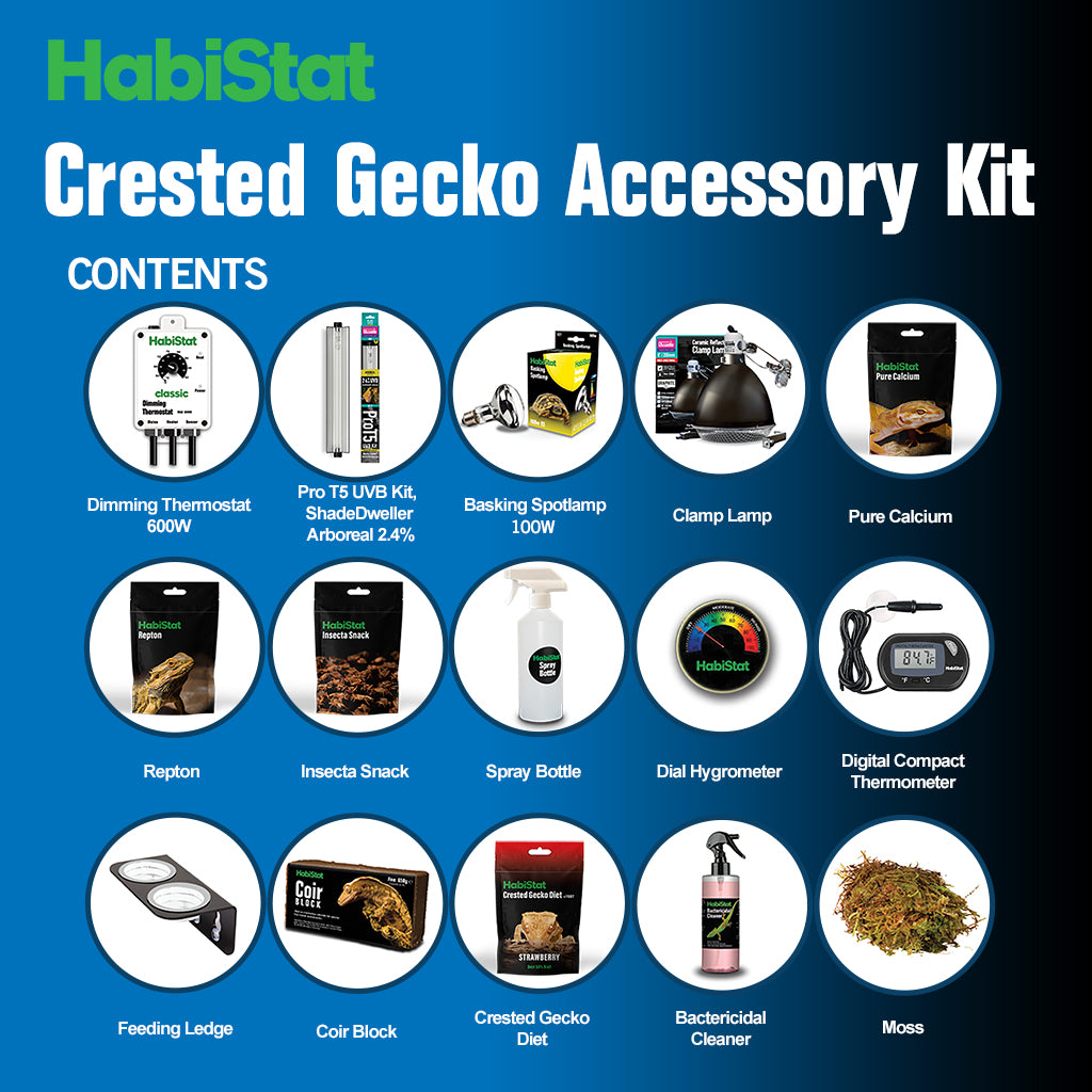 HabiStat Crested Gecko Accessory Kit - Bermondsey Exotics