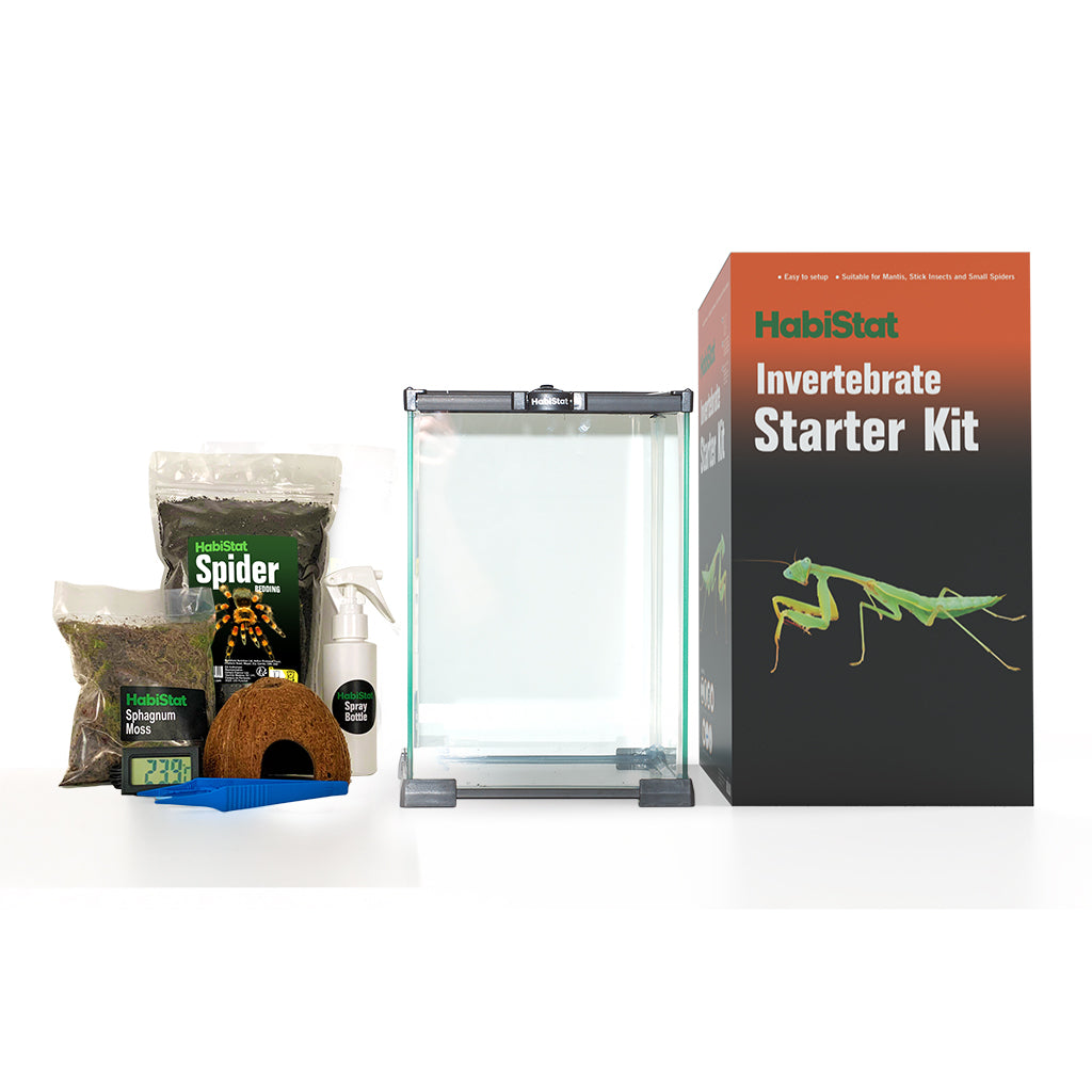 HabiStat Invertebrate Starter Kit - Bermondsey Exotics