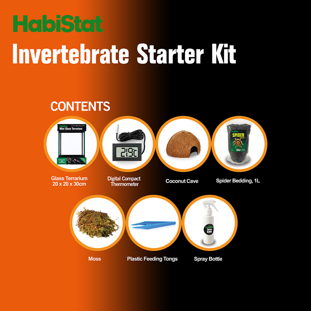 HabiStat Invertebrate Starter Kit - Bermondsey Exotics