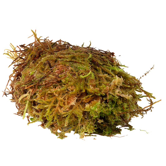 HabiStat Sphagnum Moss - Bermondsey Exotics