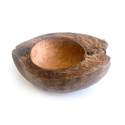 HabiStat Coco Bowl - Bermondsey Exotics