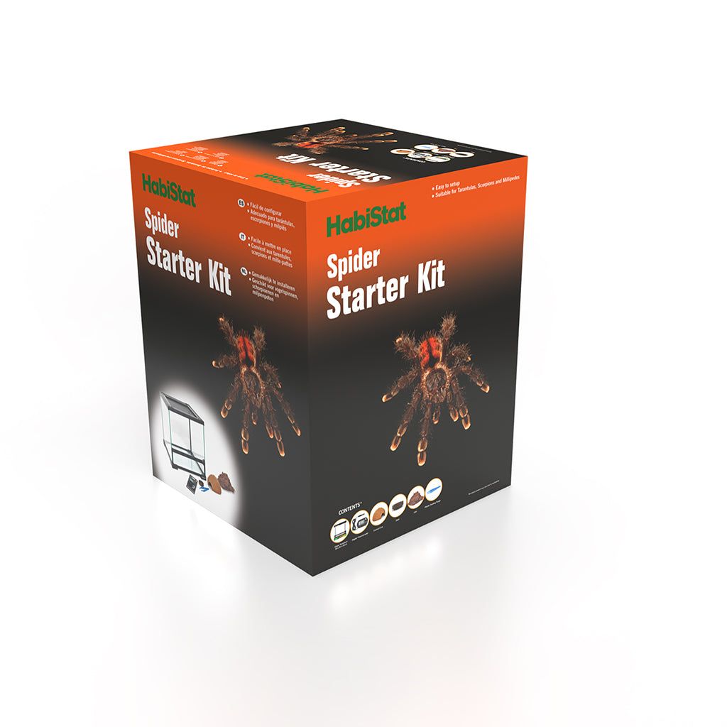 HabiStat Spider Starter Kit - Bermondsey Exotics