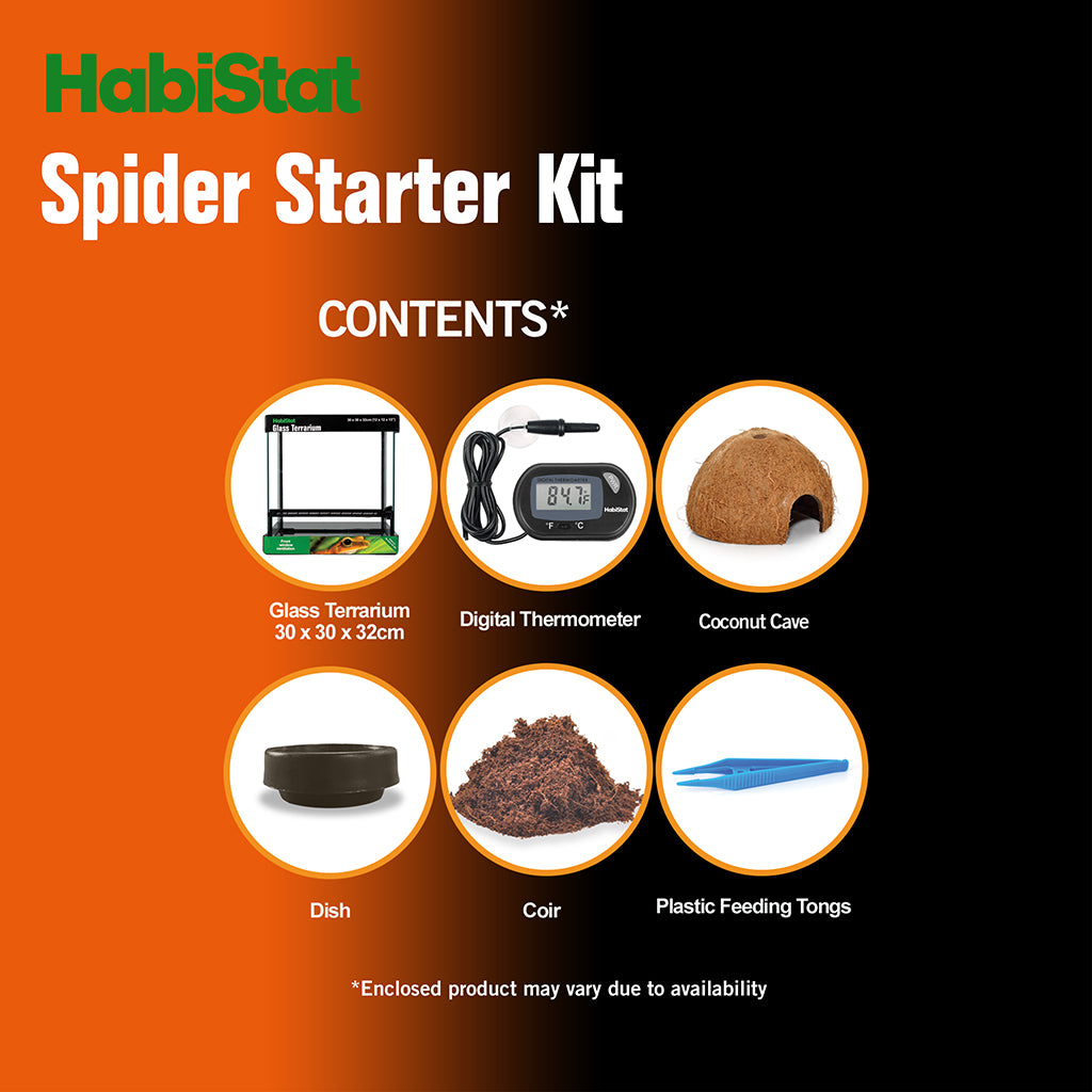 HabiStat Spider Starter Kit - Bermondsey Exotics