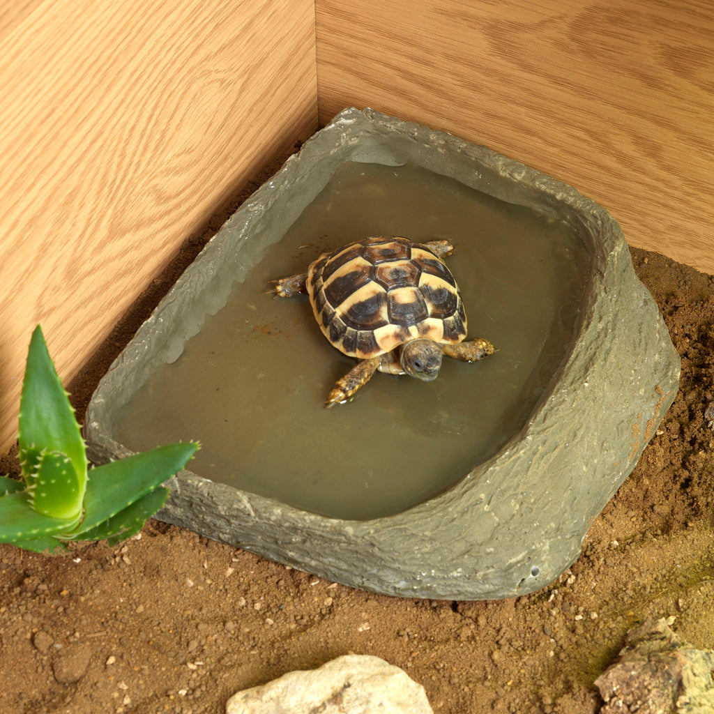 HabiStat Tortoise Starter Kit - Bermondsey Exotics