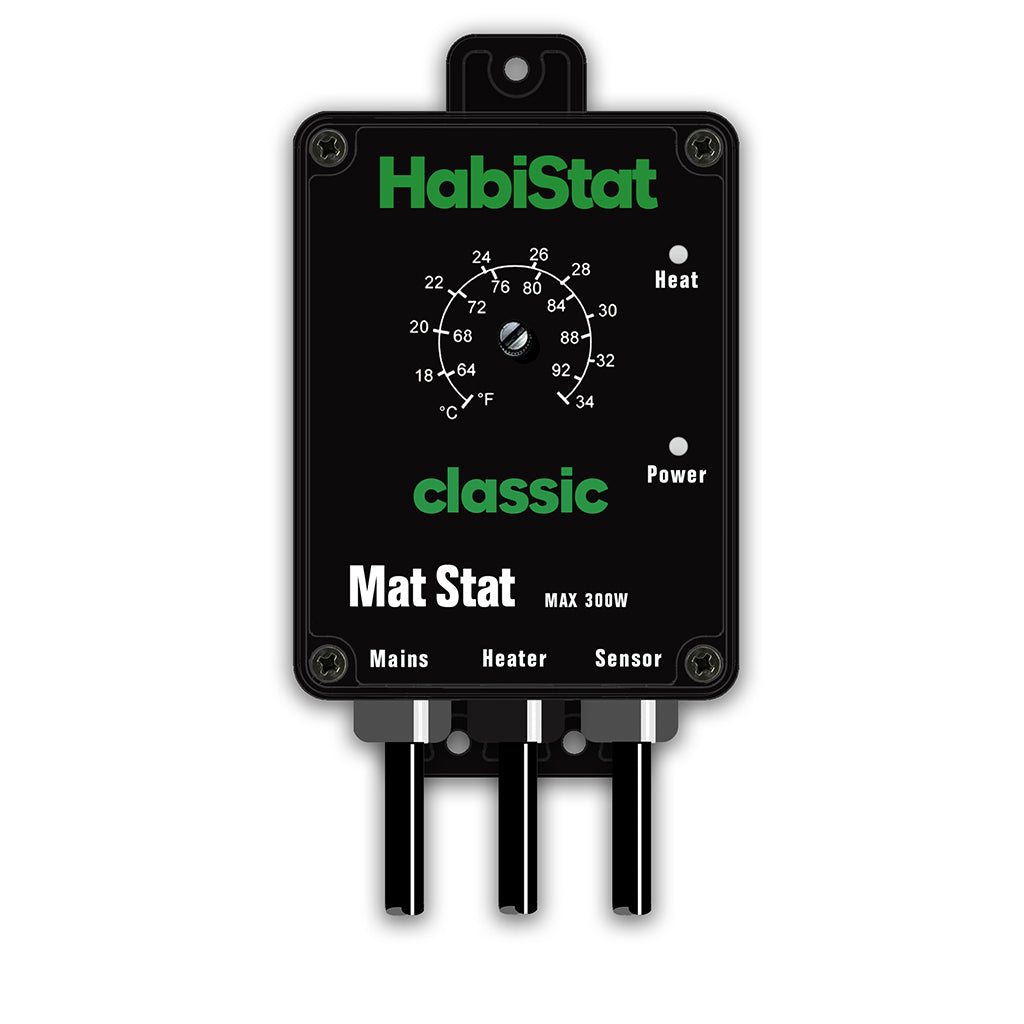 HabiStat Mat Stat - 300 Watt - Bermondsey Exotics