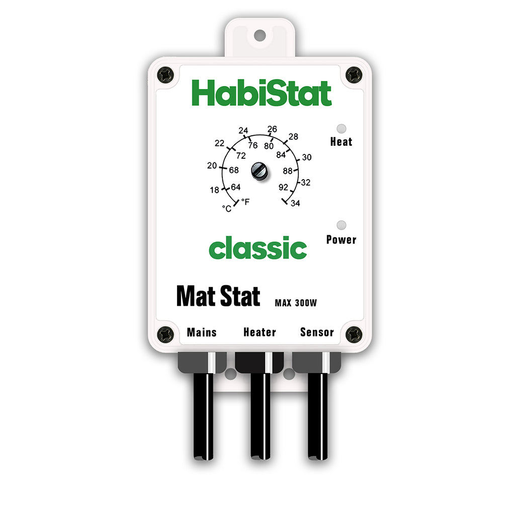 HabiStat Mat Stat - 300 Watt - Bermondsey Exotics