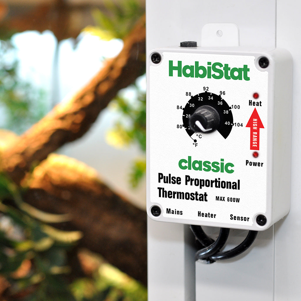 HabiStat Pulse Thermostat 600 Watt - Bermondsey Exotics