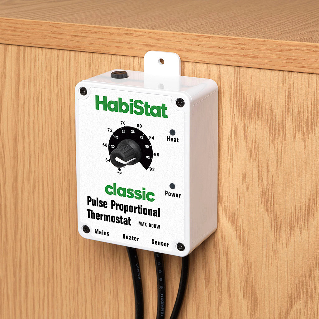 HabiStat Pulse Thermostat 600 Watt - Bermondsey Exotics