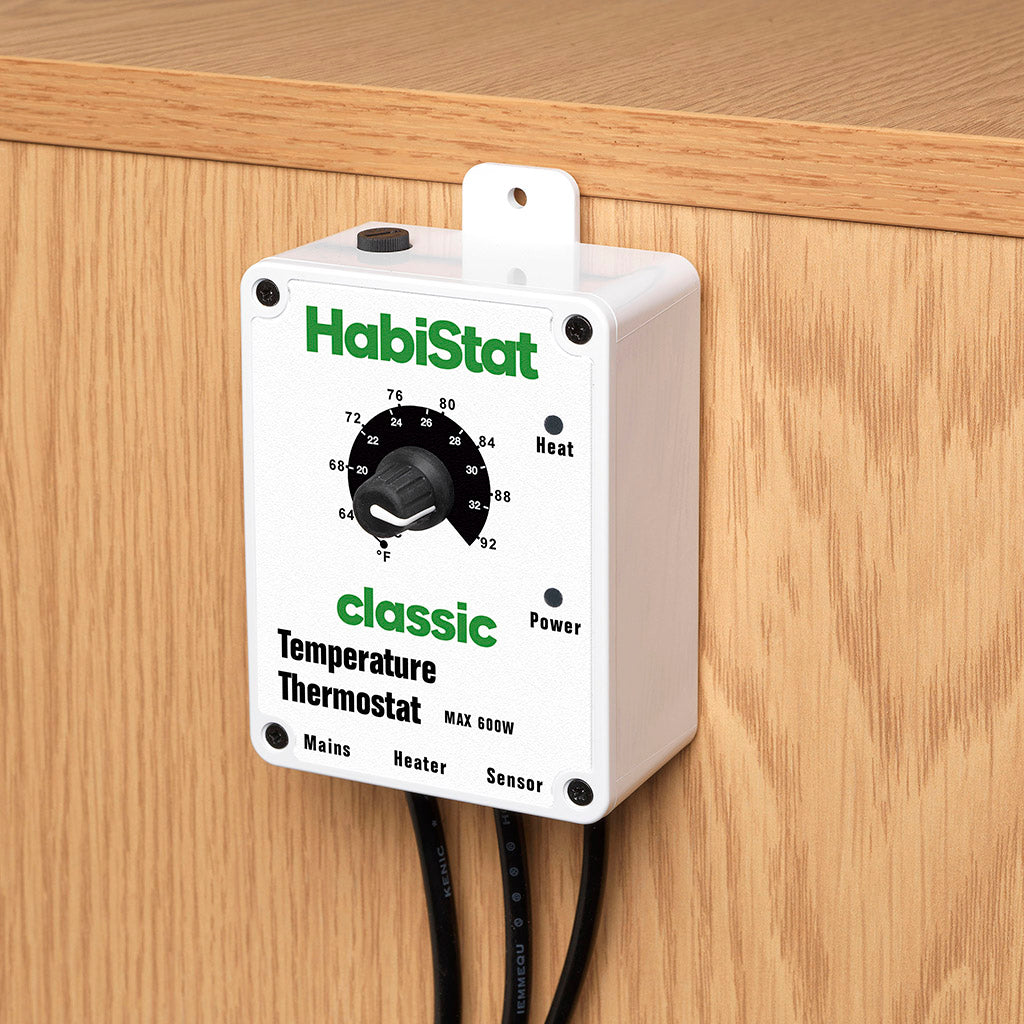 HabiStat Temperature Thermostat - 600 Watt - Bermondsey Exotics