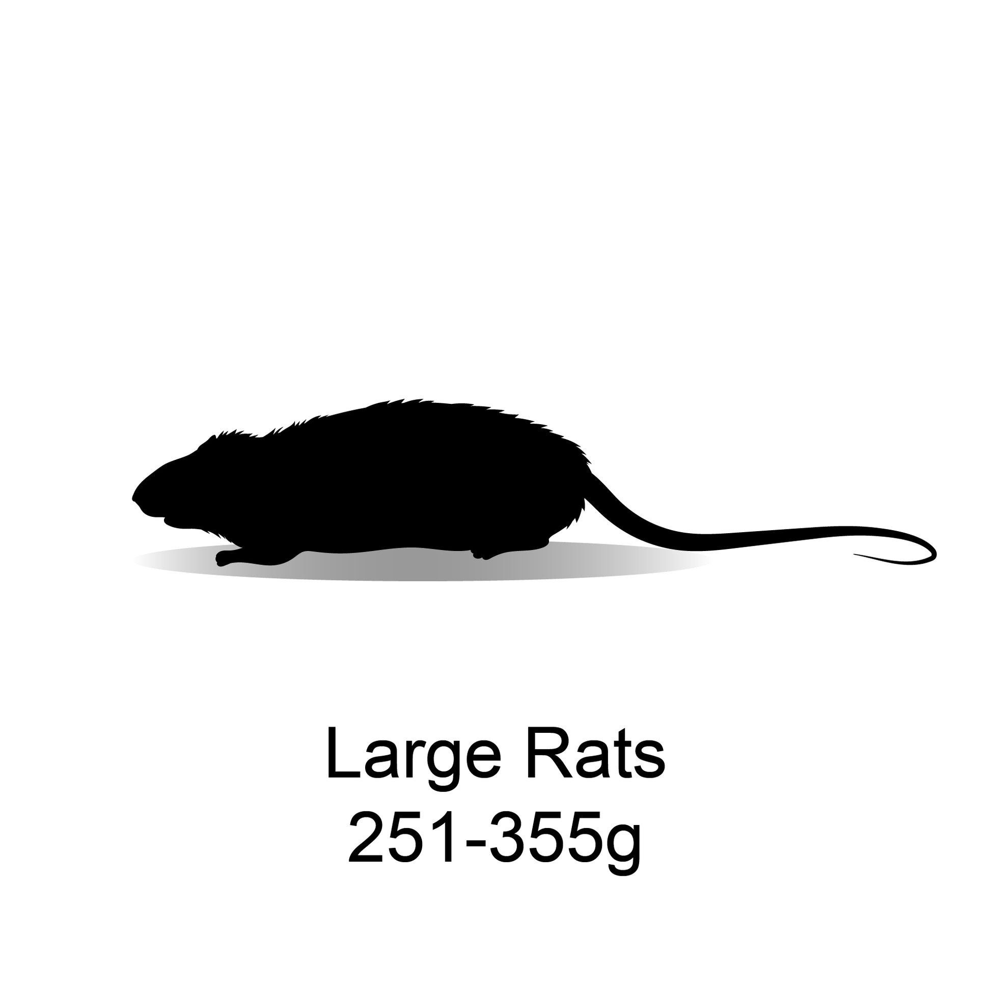 Frozen Large Rats 251-355g - 5 Pack - Bermondsey Exotics