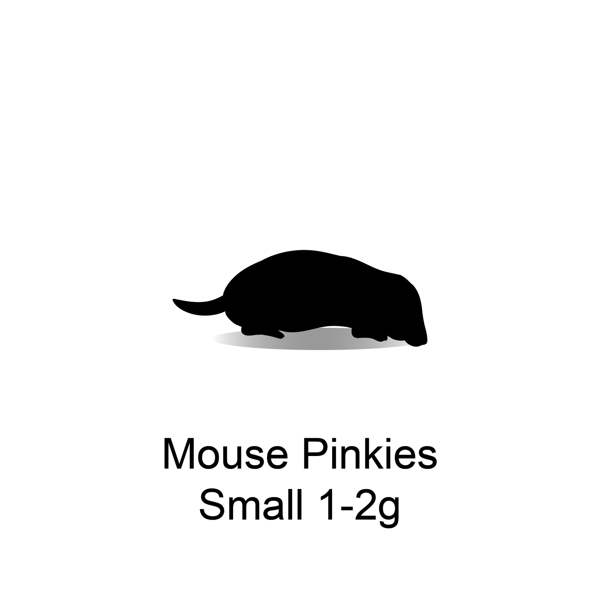 Frozen Mouse Pinks Small 1-2g - 25 Pack - Bermondsey Exotics