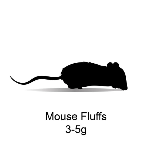 Frozen Mouse Fluffs 3-5g - Bermondsey Exotics