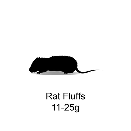 Frozen Rat Fluffs 11-25g - 10 Pack - Bermondsey Exotics