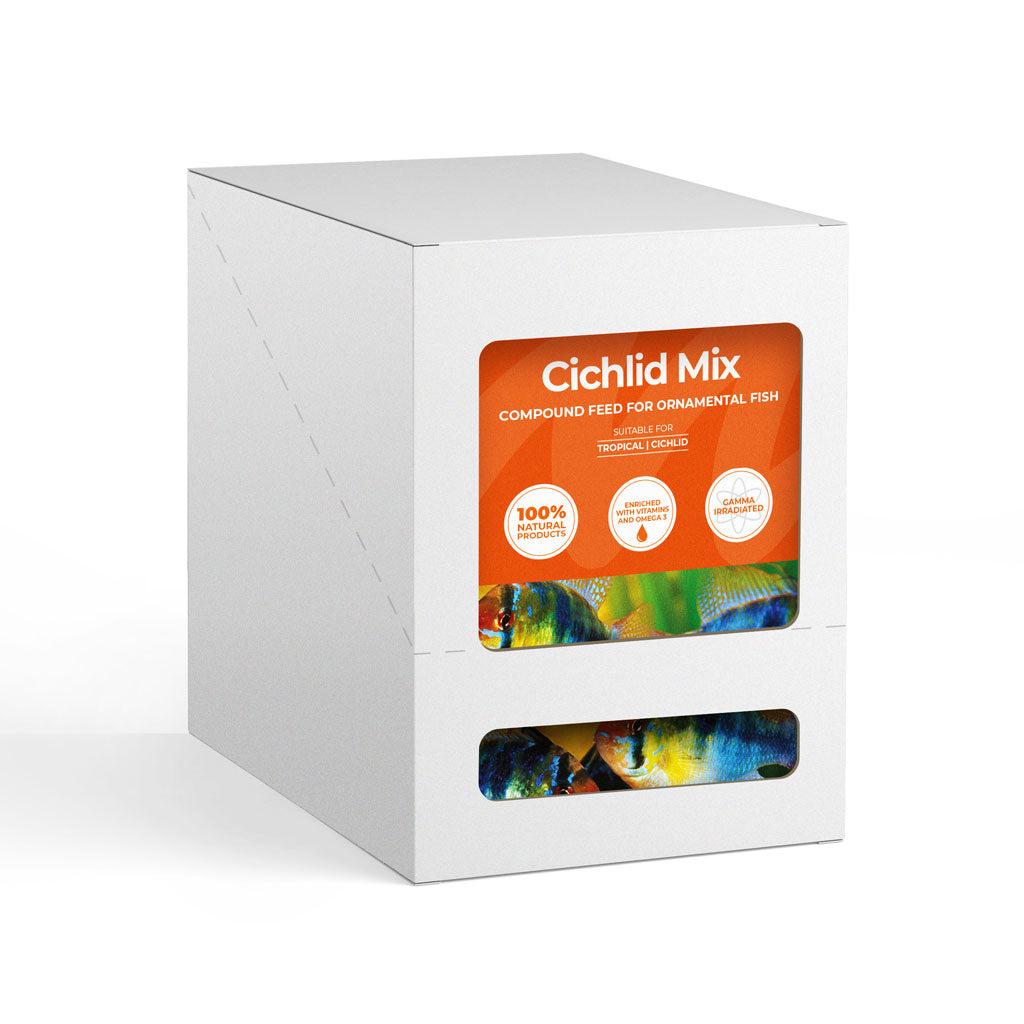 Monkfield Cichlid Mix - 10 Pack - Bermondsey Exotics