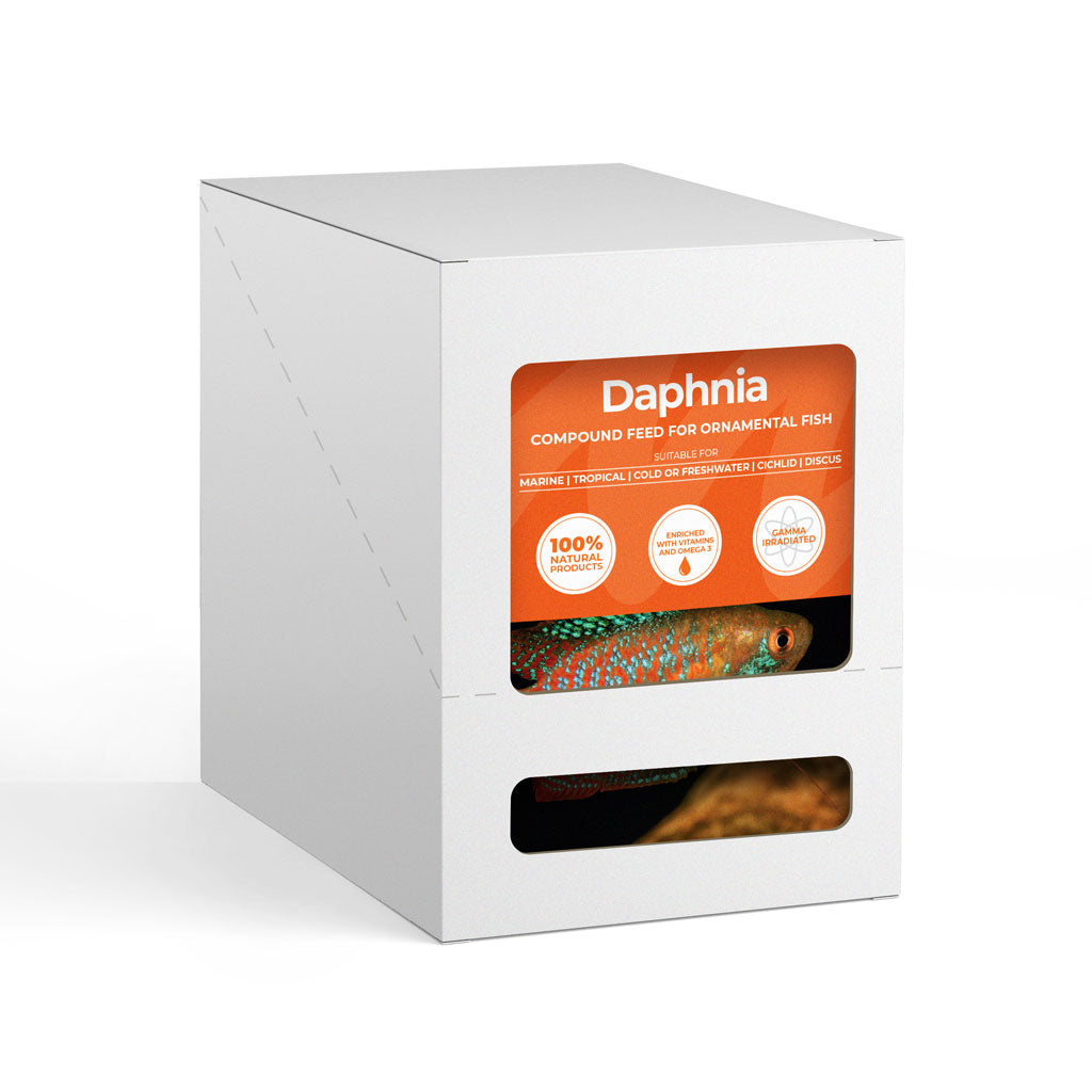 Monkfield Daphnia - 10 Pack - Bermondsey Exotics