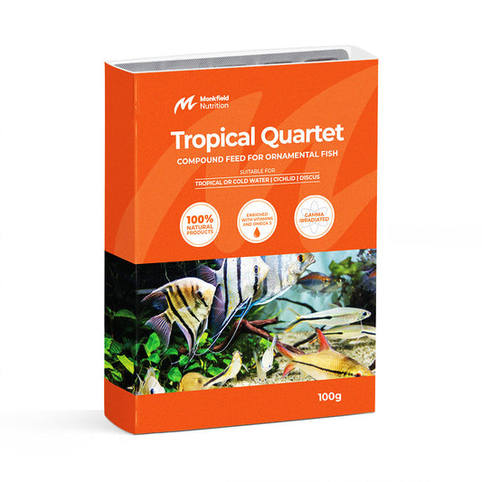 Monkfield Tropical Quartet, 10 Pack - Bermondsey Exotics