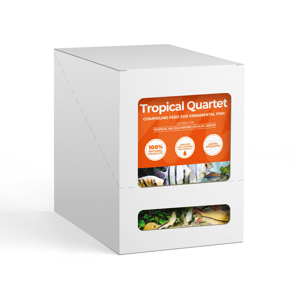 Monkfield Tropical Quartet, 10 Pack - Bermondsey Exotics